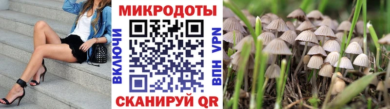 Псилоцибиновые грибы Magic Shrooms  Баймак 